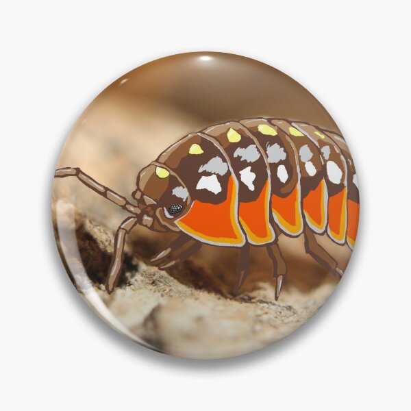 Item preview, Clown Isopod Art Armadillidium kluugi Montenegro Comic Photo Digital designed and sold by MotleyExotics.