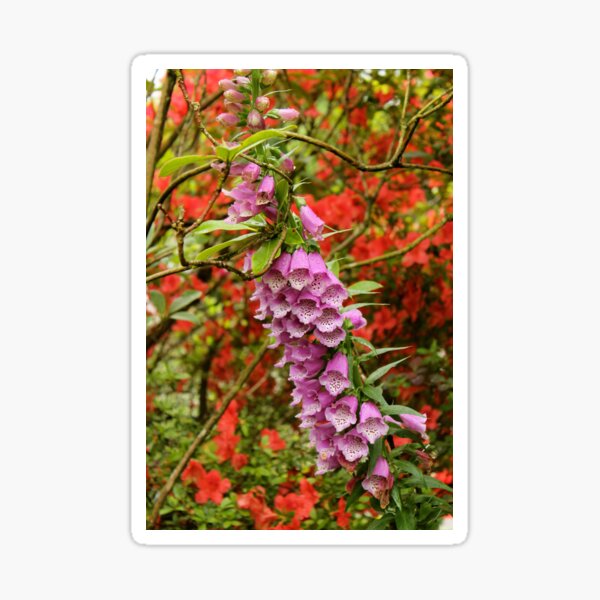 Aperçu de l'œuvre Giverny 5 créée et vendue par morethanaslice.