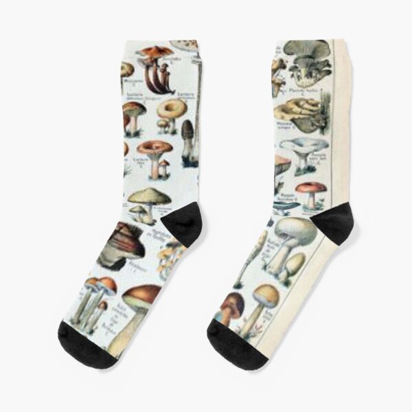 Edible socks shop for dogs