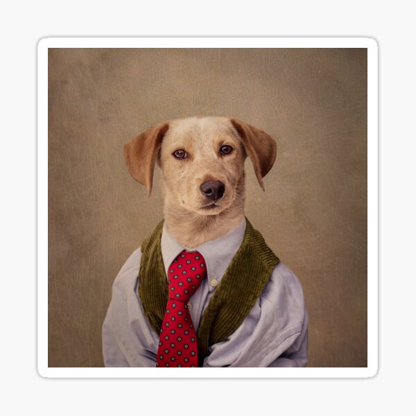 Shelter Pets Project - Cherokee Sticker