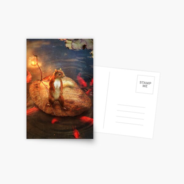 Columbus the Squirrel Postcard