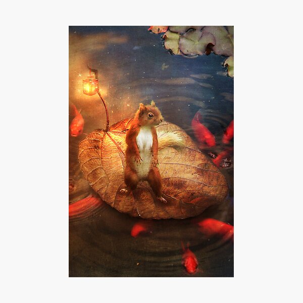 Columbus the Squirrel Photographic Print