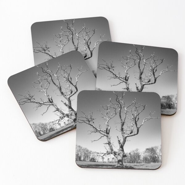 Item preview, Blasted Tree designed and sold by KissStudios.