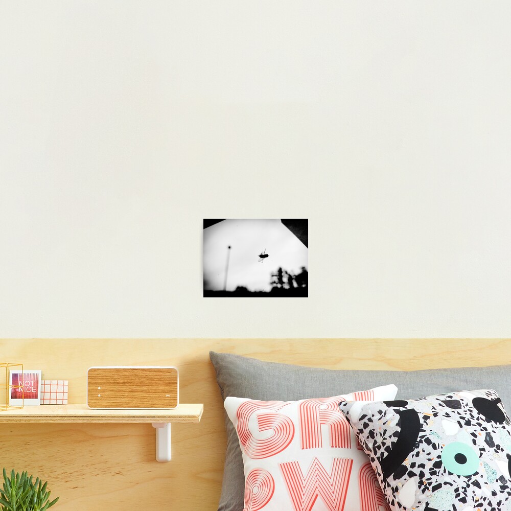 Item preview, Photographic Print designed and sold by D351.