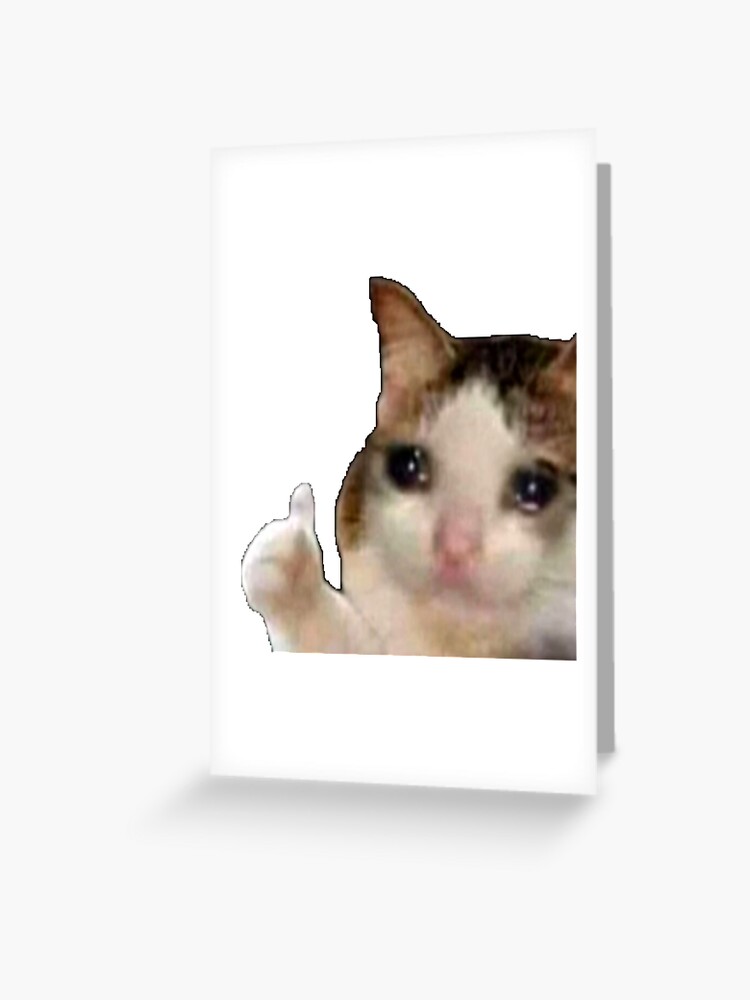 sad cat meme girl｜TikTok Search