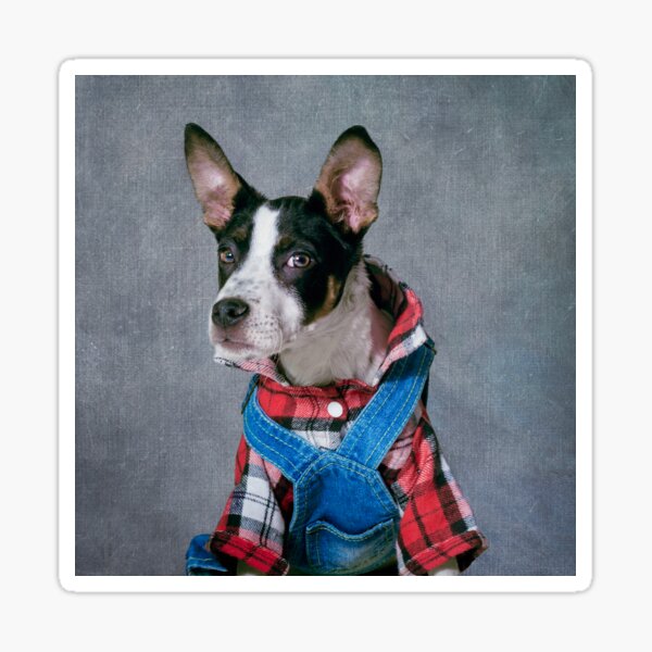 Shelter Pets Project - Snoop Dogg Sticker