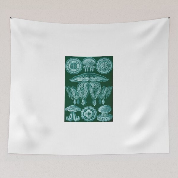 Item preview, Haeckel illustration designed and sold by monsterplanet.