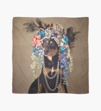 Shelter Pets Project - Midnight Scarf