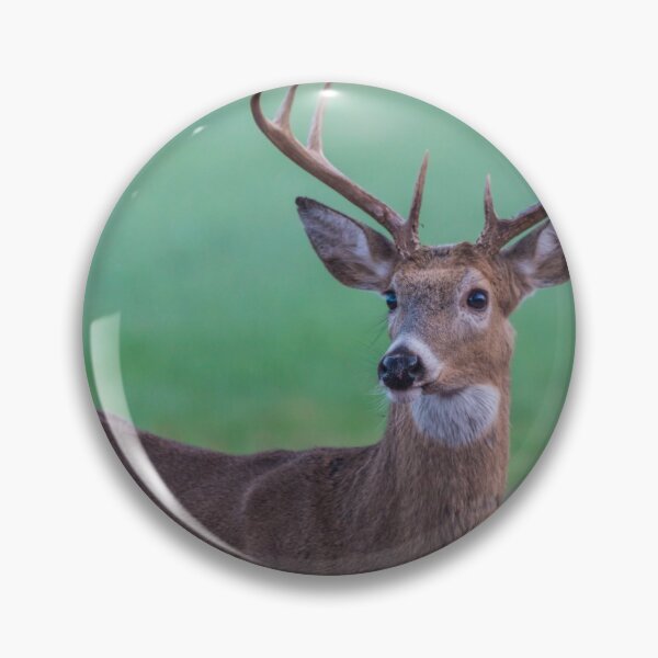 Item preview, Seven Point Buck designed and sold by mljdwhite.