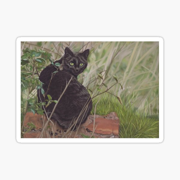 Black cat hunting in woodland Sticker