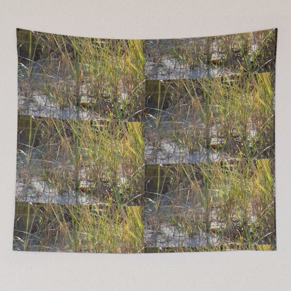 Item preview, Calm Tall Grasses Among Sand designed and sold by Ginger217.