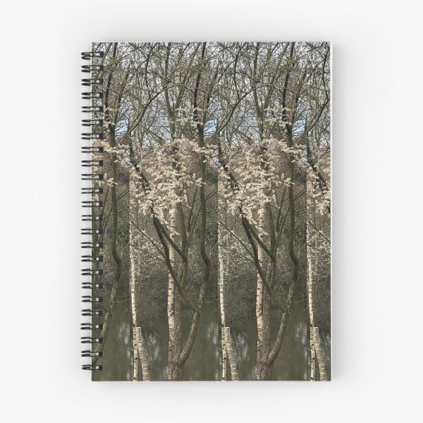 Item preview, Trees in unison - photograph of blossoming trees in a pond.  designed and sold by LizziesSpace.