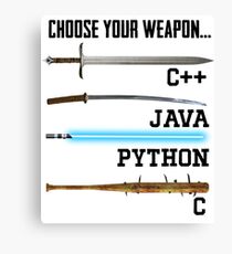 Programmer Canvas Print