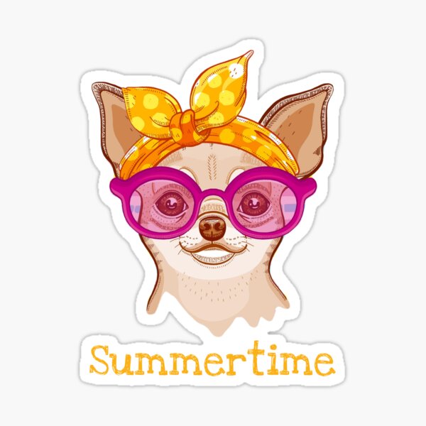 Chihuahua dog in fashion headband and glasses Sticker