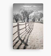 Outsider Metal Print