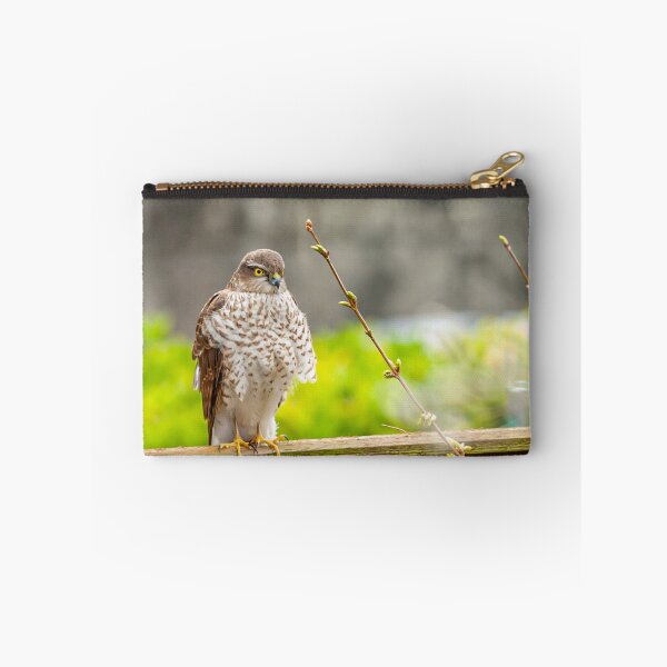 Item preview, Sparrowhawk watching the birds on the bird table designed and sold by Dalyndigital Photography.