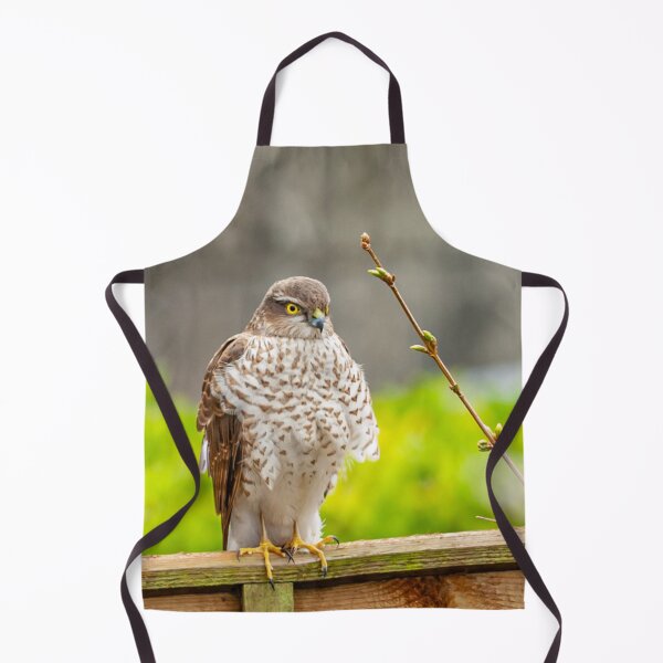 Item preview, Sparrowhawk watching the birds on the bird table designed and sold by Dalyndigital Photography.