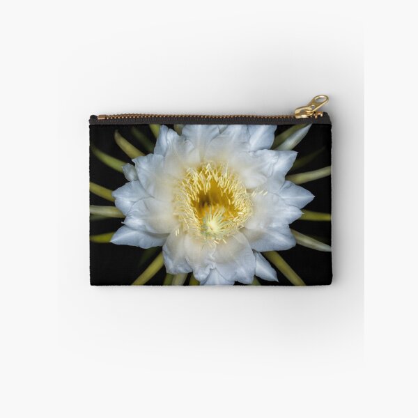 Item preview, Hylocereus designed and sold by Mario Morales Rubi.