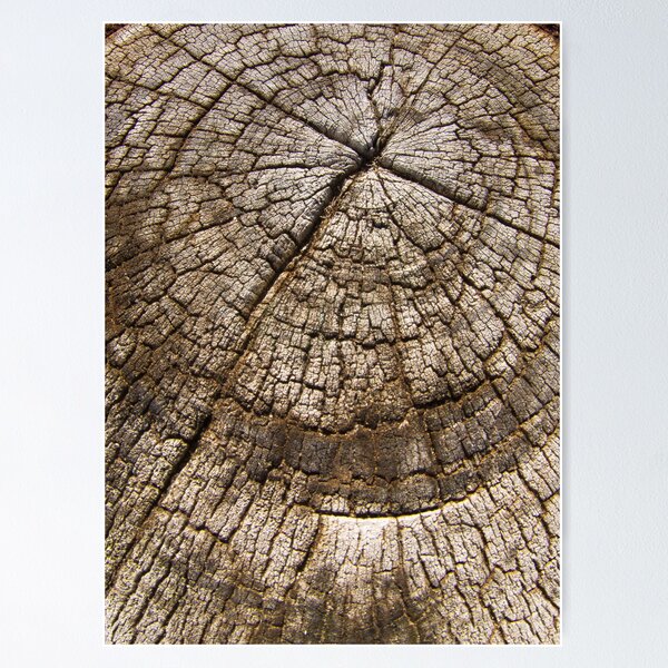 Old Wood Poster