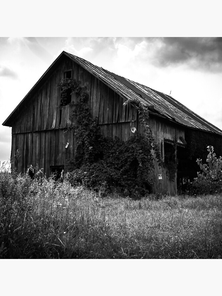 "Barn art, Rustic art,barn board art,barn board print,rustic wall art