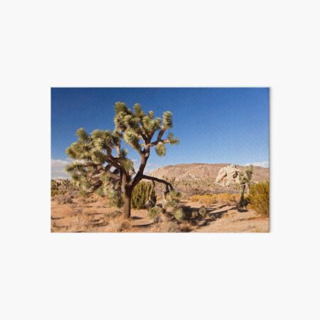 Item preview, Joshua Tree designed and sold by reisefoto.