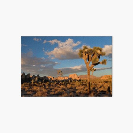 Item preview, Joshua Tree designed and sold by reisefoto.