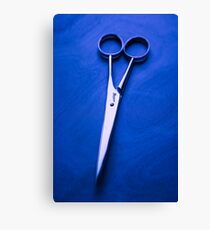 Nogent Scissors Canvas Print