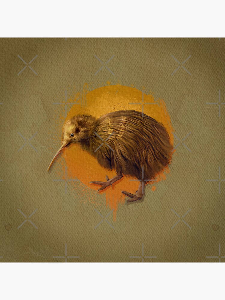 Kiwi Bird by Chrisjeffries24