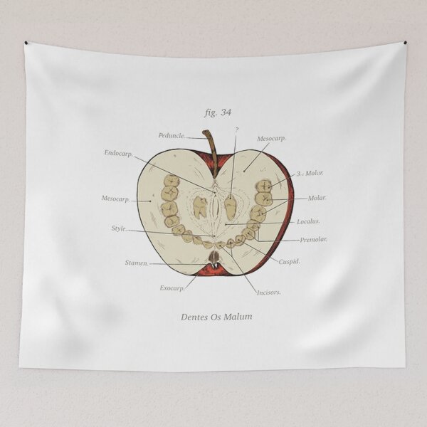 Item preview, All Seeing Owl designed and sold by anniejohnson9.