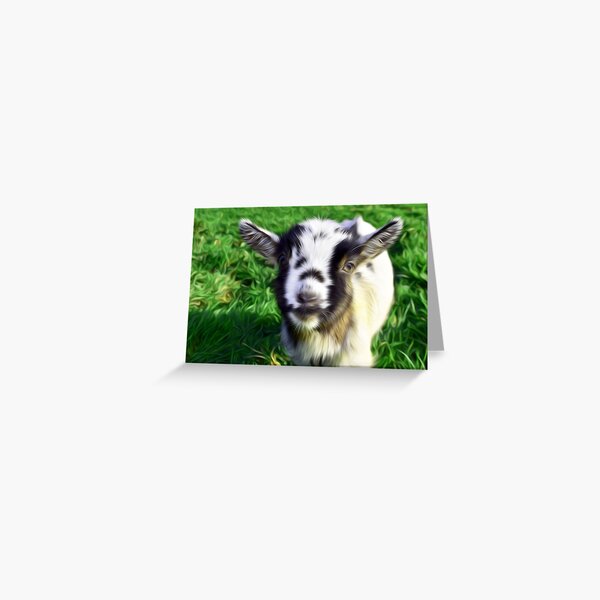 Download Baby Goat Greeting Cards Redbubble