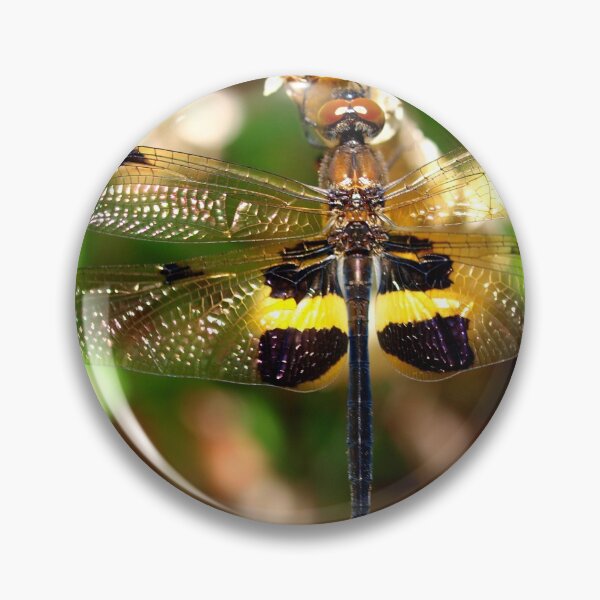 Item preview, Dragonfly [with glitter wings ] designed and sold by ginnymac.