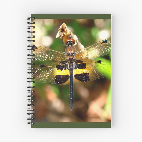 Item preview, Dragonfly [with glitter wings ] designed and sold by ginnymac.