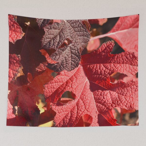 Item preview, Red Hydrangea Leaves designed and sold by artfulnotebook.