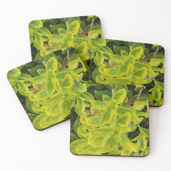Item preview, Leaf pattern designed and sold by FotoGraffy.