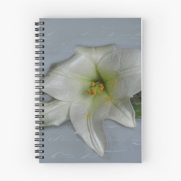 Item preview, Love letter on white lily  designed and sold by ritadilalla.