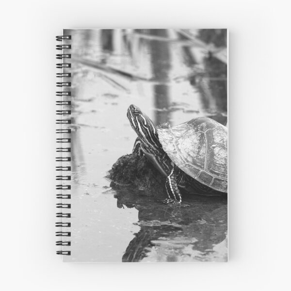 Item preview, Painted Turtle Reflection designed and sold by rhamm.