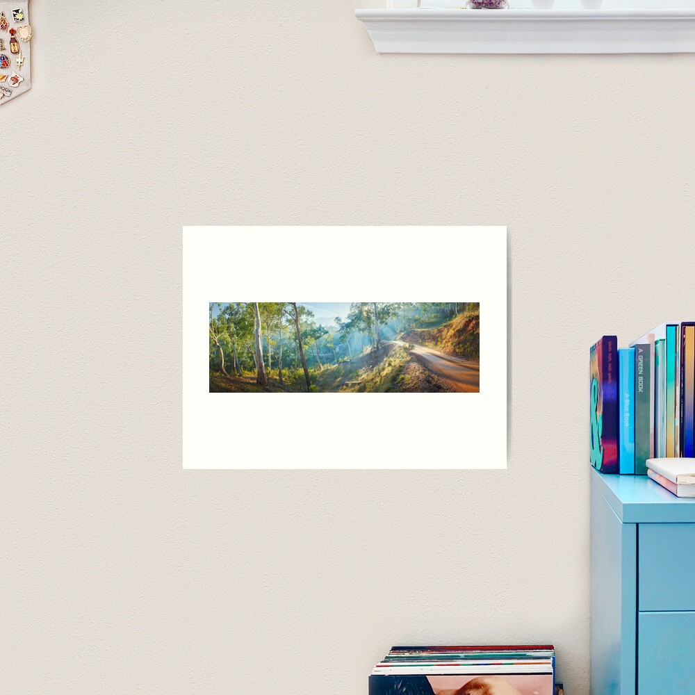 Morning Light, Howqua Hills, Mansfield, Victoria, Australia Art Print