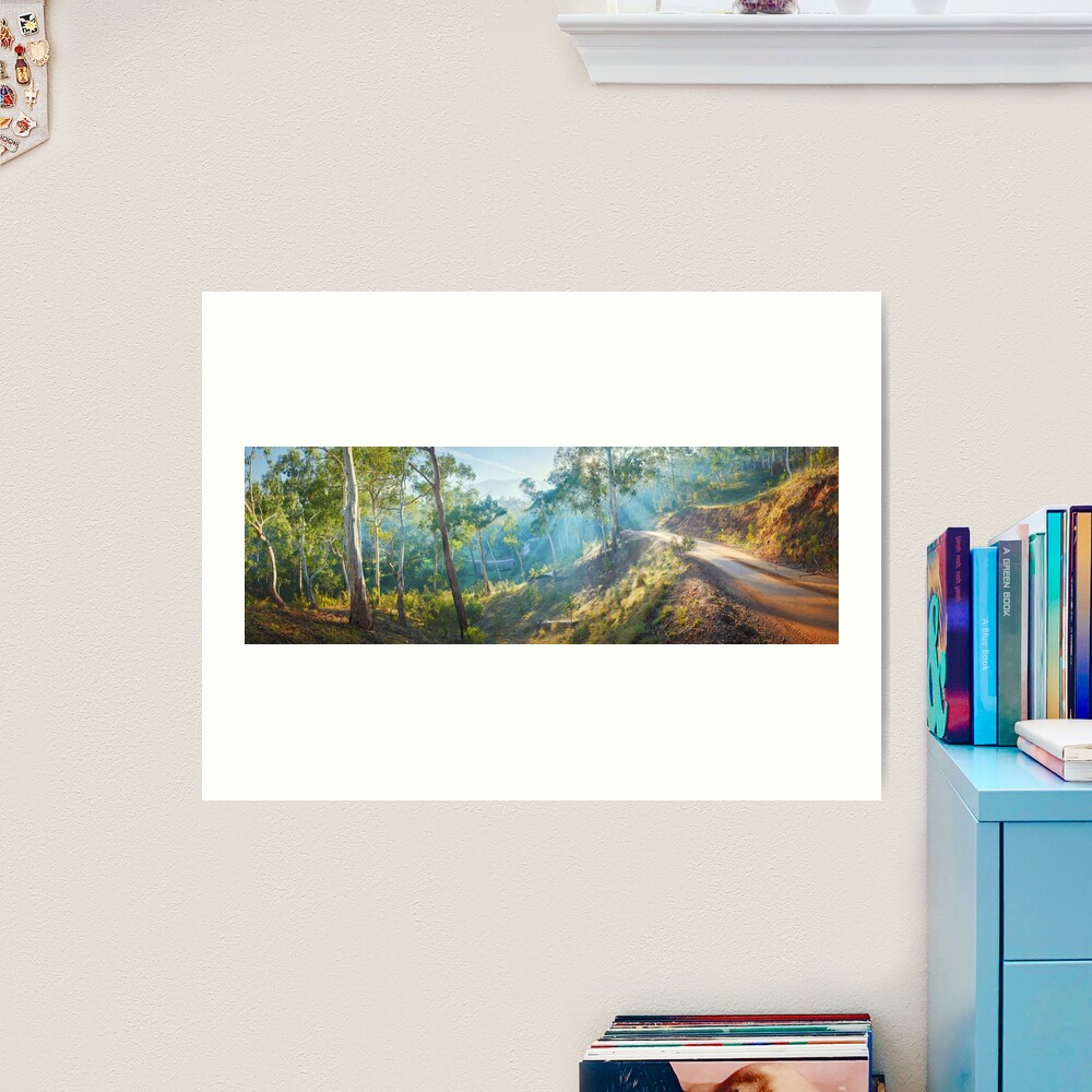 Morning Light, Howqua Hills, Mansfield, Victoria, Australia Art Print