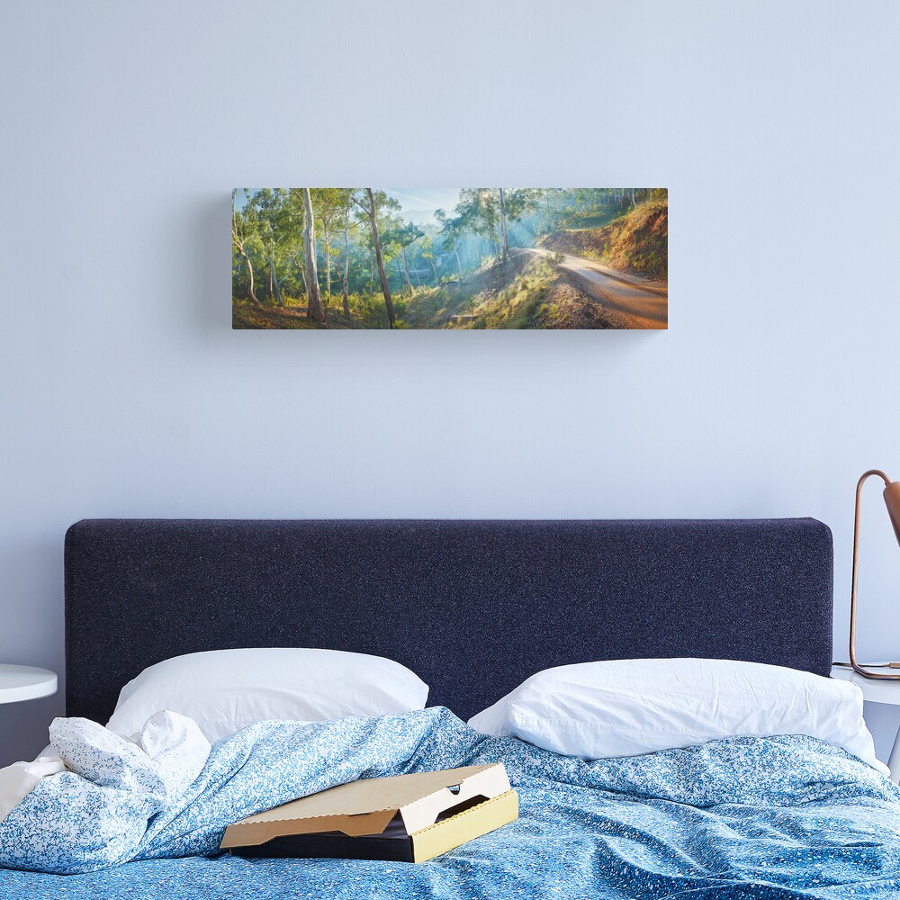 Morning Light, Howqua Hills, Mansfield, Victoria, Australia Canvas Print