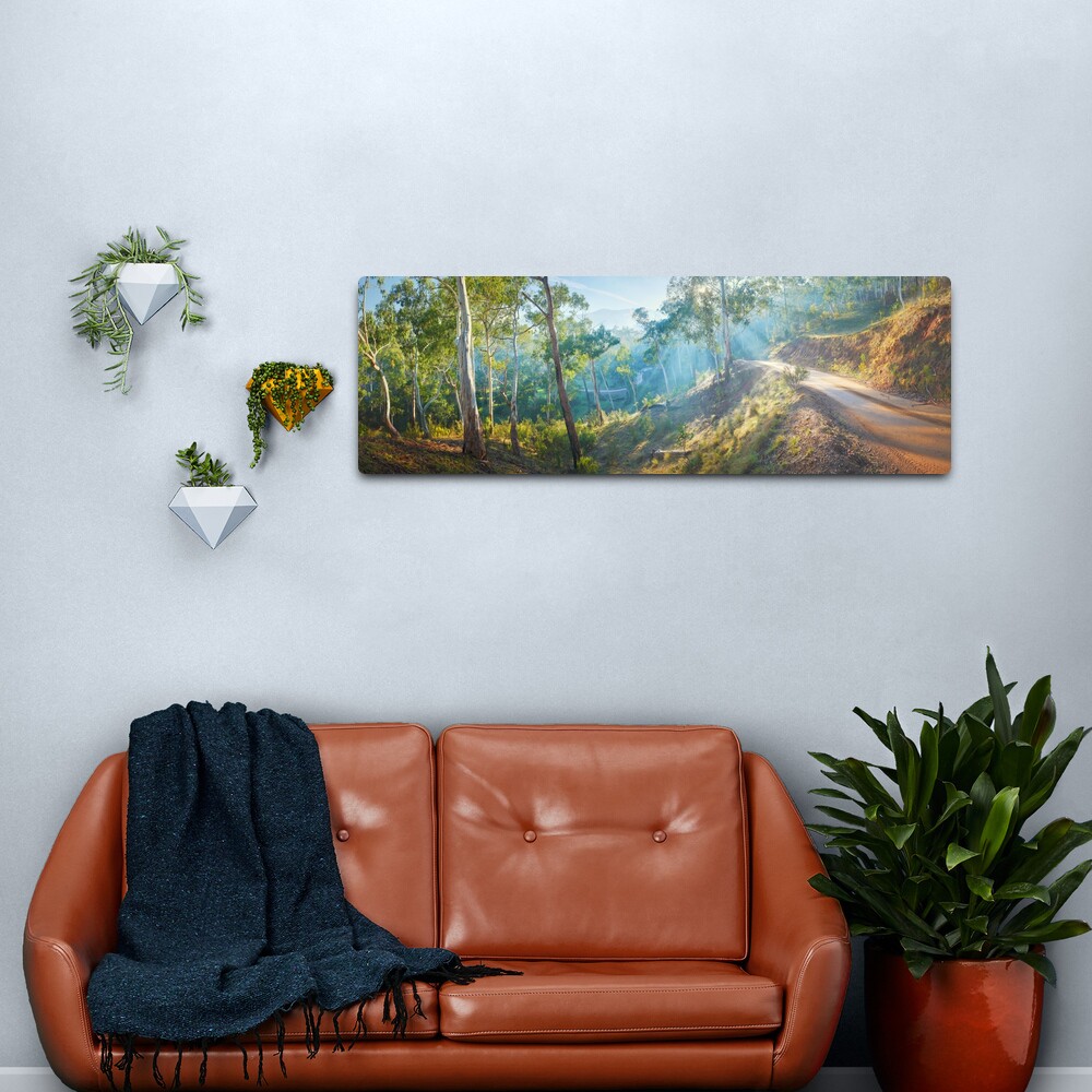 Morning Light, Howqua Hills, Mansfield, Victoria, Australia Metal Print