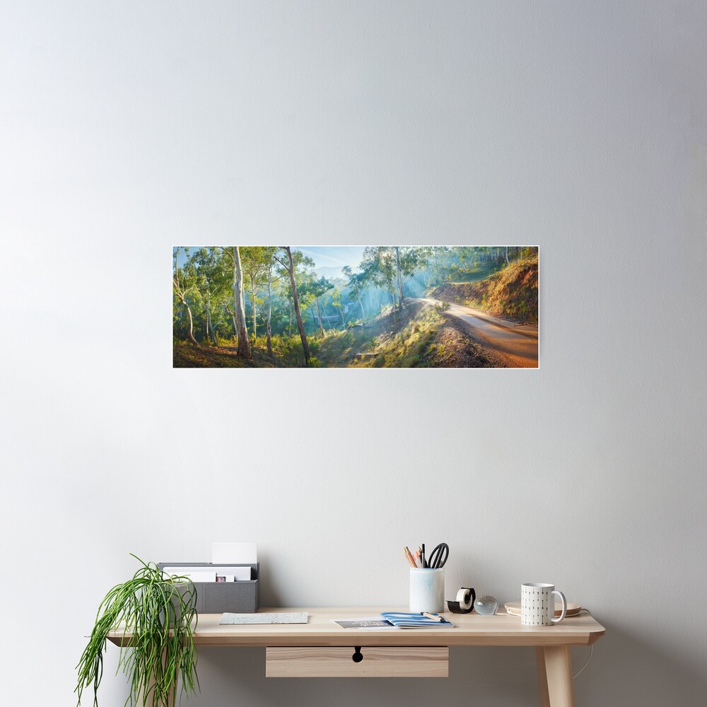 Morning Light, Howqua Hills, Mansfield, Victoria, Australia Poster