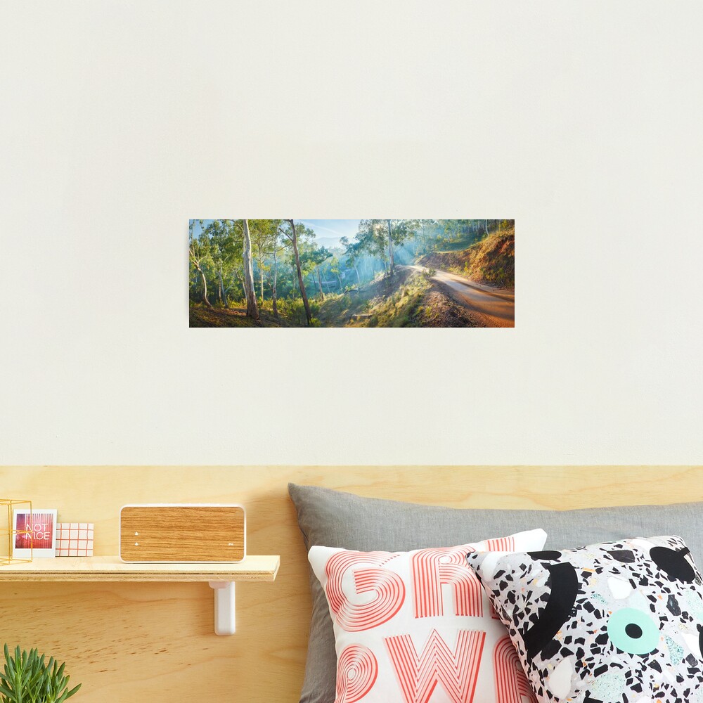 Morning Light, Howqua Hills, Mansfield, Victoria, Australia Photographic Print