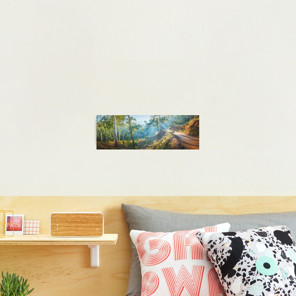 Morning Light, Howqua Hills, Mansfield, Victoria, Australia Photographic Print