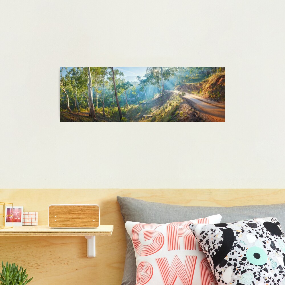 Morning Light, Howqua Hills, Mansfield, Victoria, Australia Photographic Print