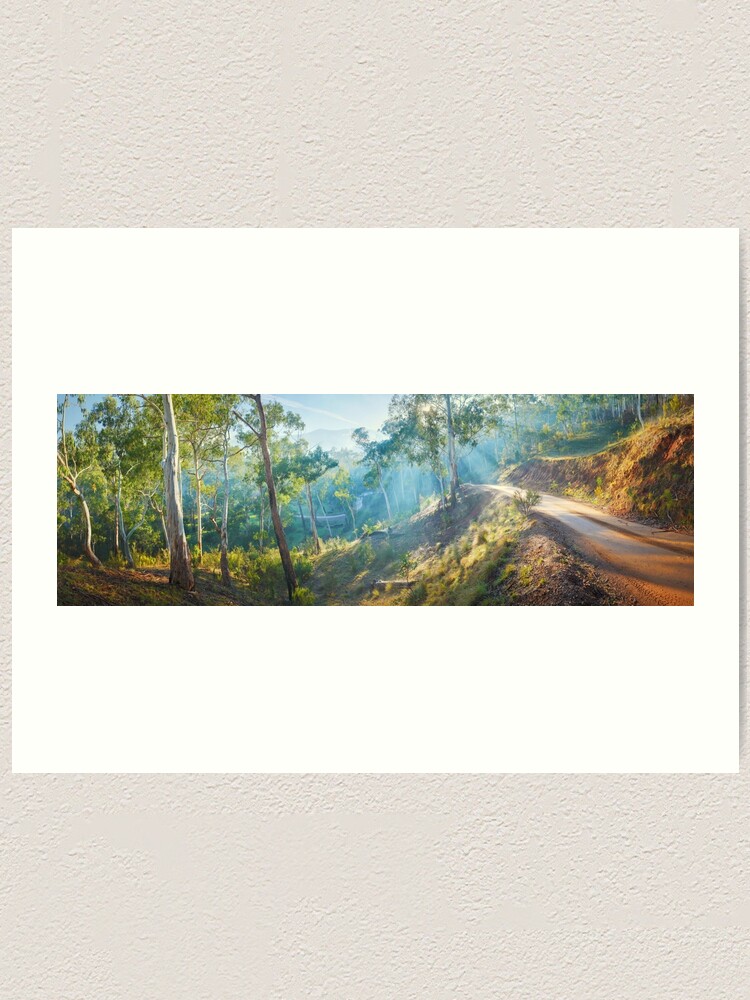 Alternate view of Morning Light, Howqua Hills, Mansfield, Victoria, Australia Art Print