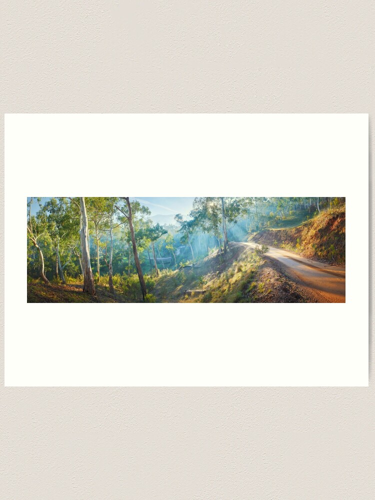 Alternate view of Morning Light, Howqua Hills, Mansfield, Victoria, Australia Art Print