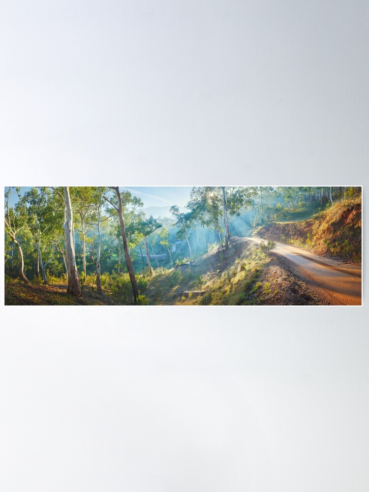 Alternate view of Morning Light, Howqua Hills, Mansfield, Victoria, Australia Poster