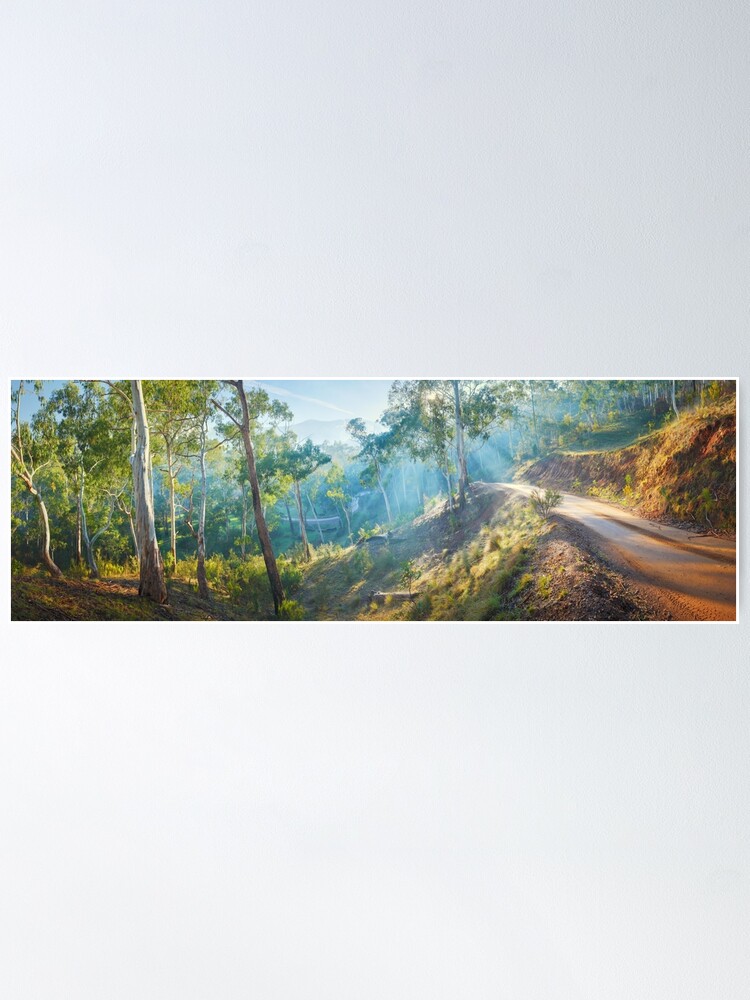 Alternate view of Morning Light, Howqua Hills, Mansfield, Victoria, Australia Poster