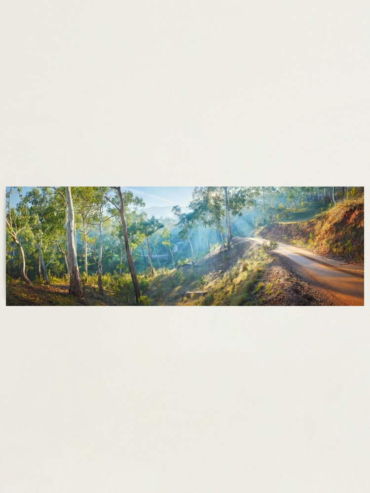 Alternate view of Morning Light, Howqua Hills, Mansfield, Victoria, Australia Photographic Print