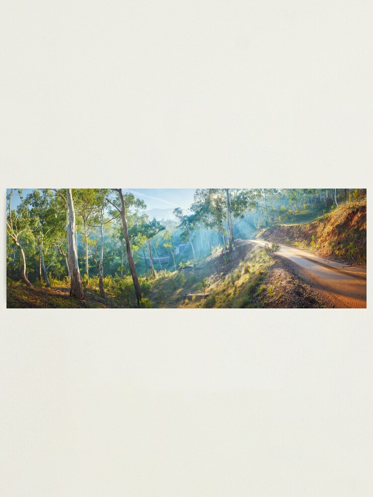 Alternate view of Morning Light, Howqua Hills, Mansfield, Victoria, Australia Photographic Print